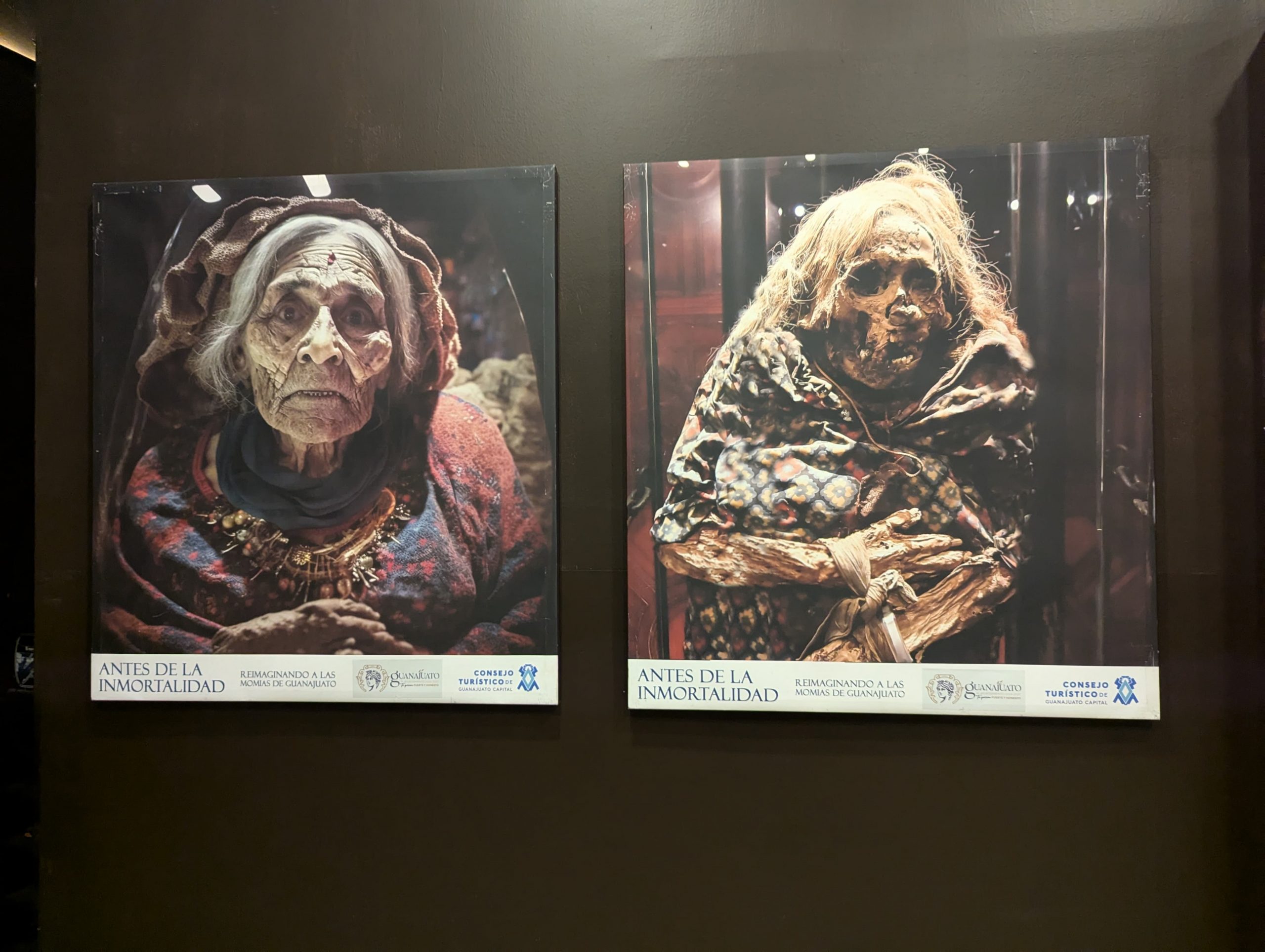 Museos de las momias de guanajuato