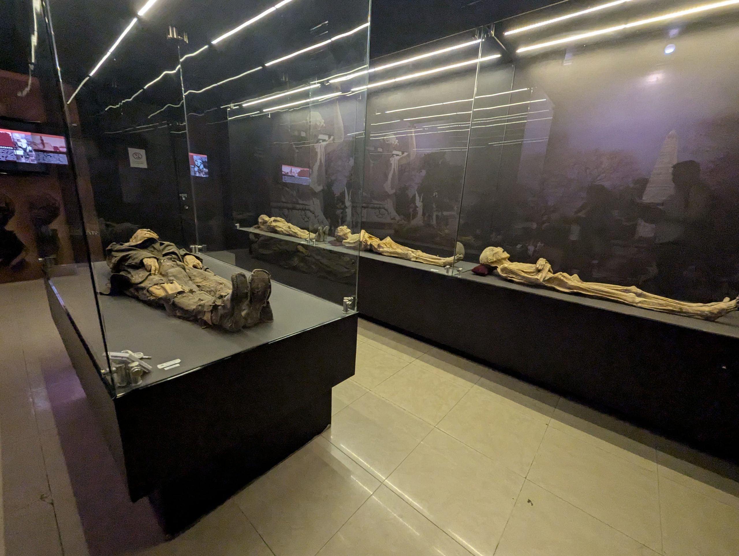 Museo de las momias de la ciudad de guanajuato