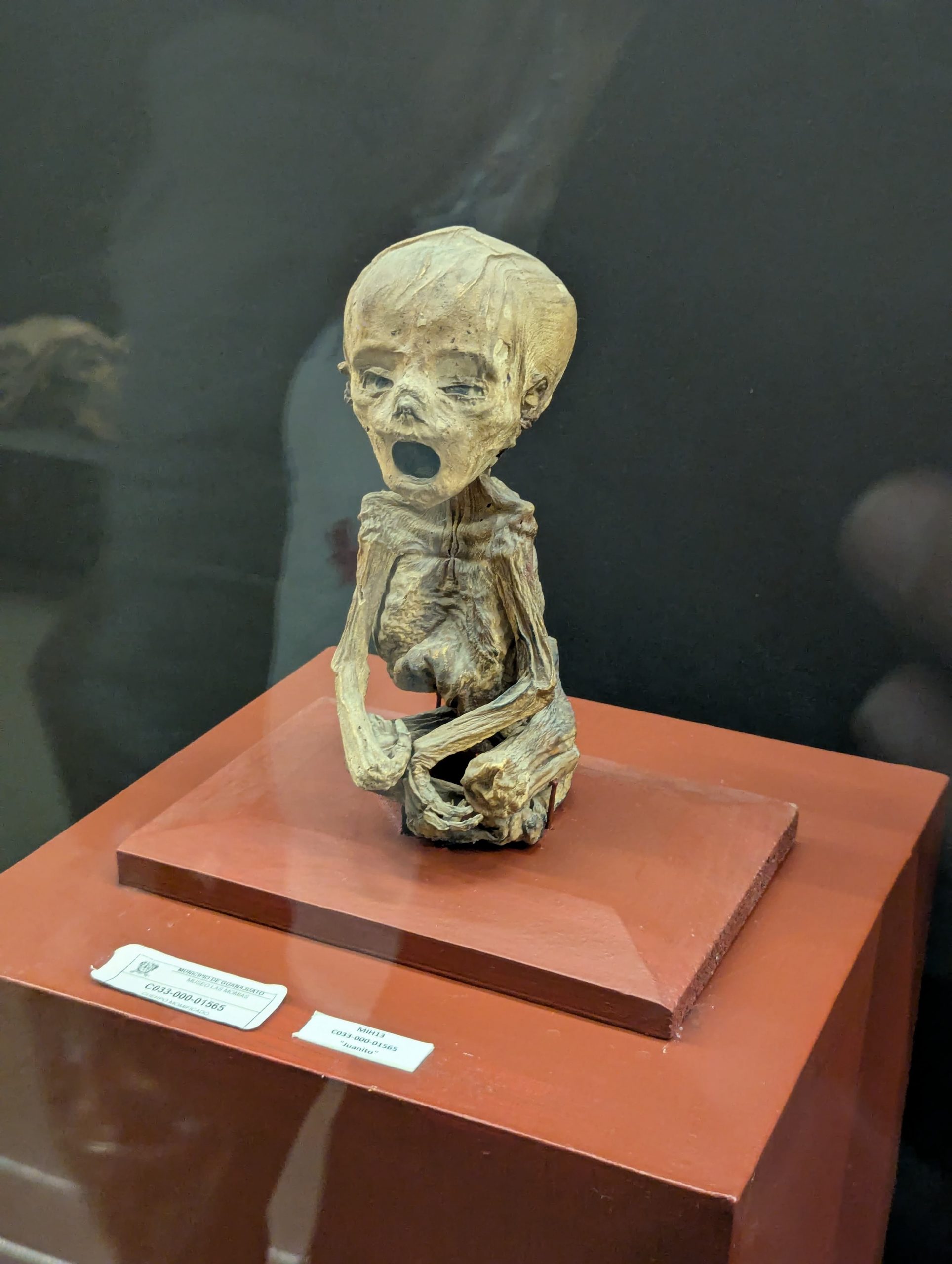 Guanajuato Mexico Mummies Museum