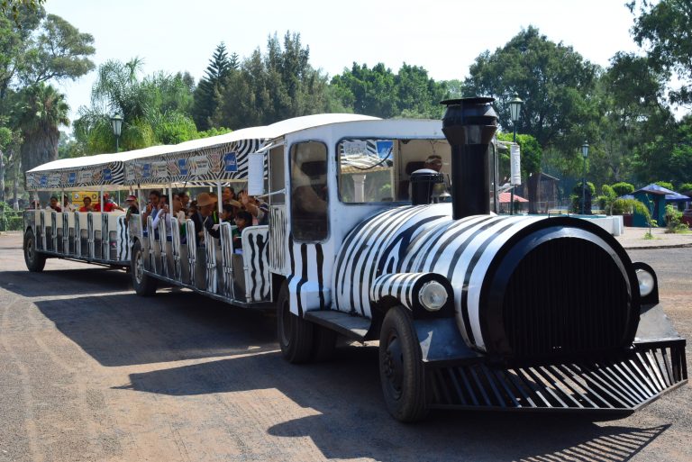 Zoológico de Morelia: precios, horarios, atracciones y cómo llegar