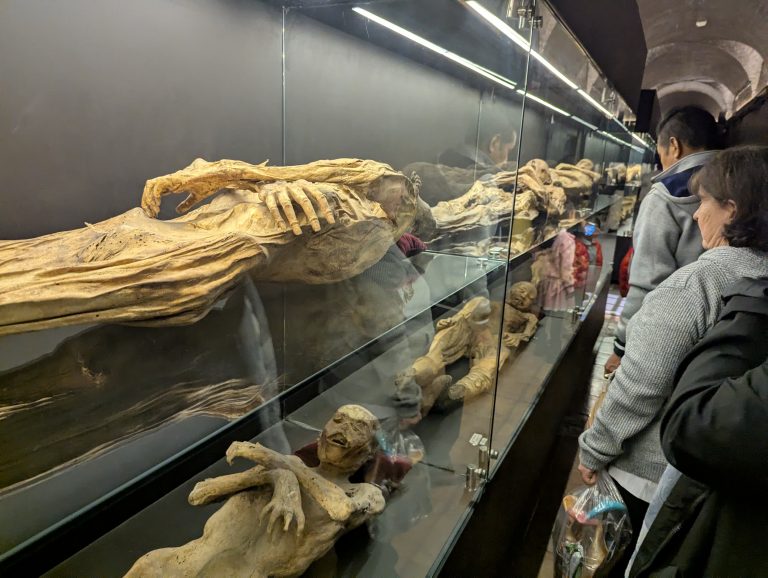 Museo de las Momias de Guanajuato-precio y experiencia