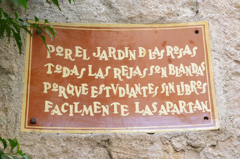 frases de lucas Ortiz Benítez del callejón del romance  