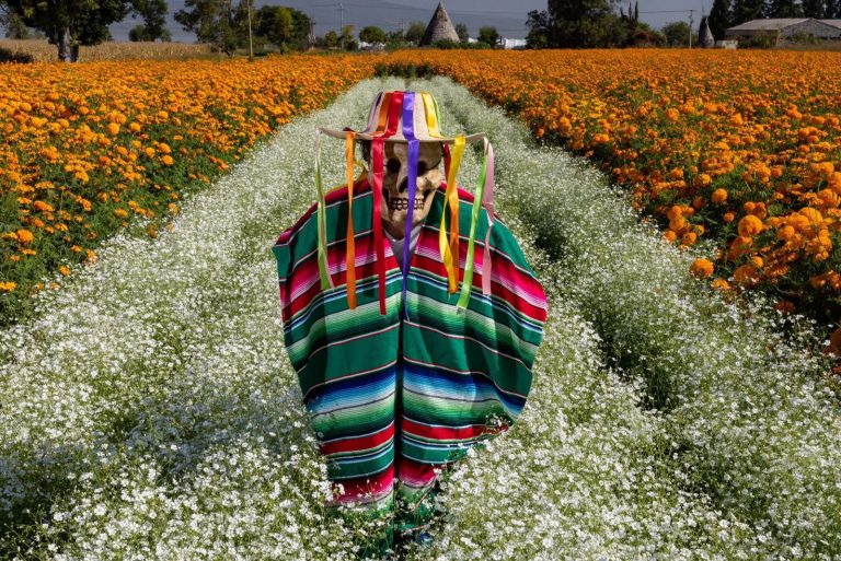 Descubre la magia del Festival de las Flores en Copándaro, Michoacán
