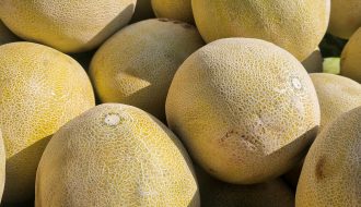 Feria del Melón 2026
