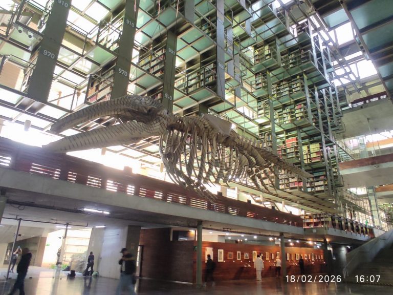 Biblioteca Vasconcelos en CDMX: una de las más impresionantes del mundo